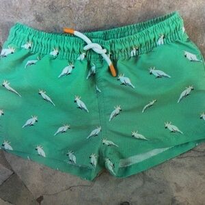 Green Parrot Print Kids Swim Trunks